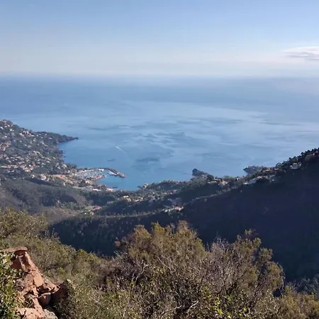Cap Esterel Village : 2 Pieces Mer Renove 2e Etage- E1 275la Apartment *